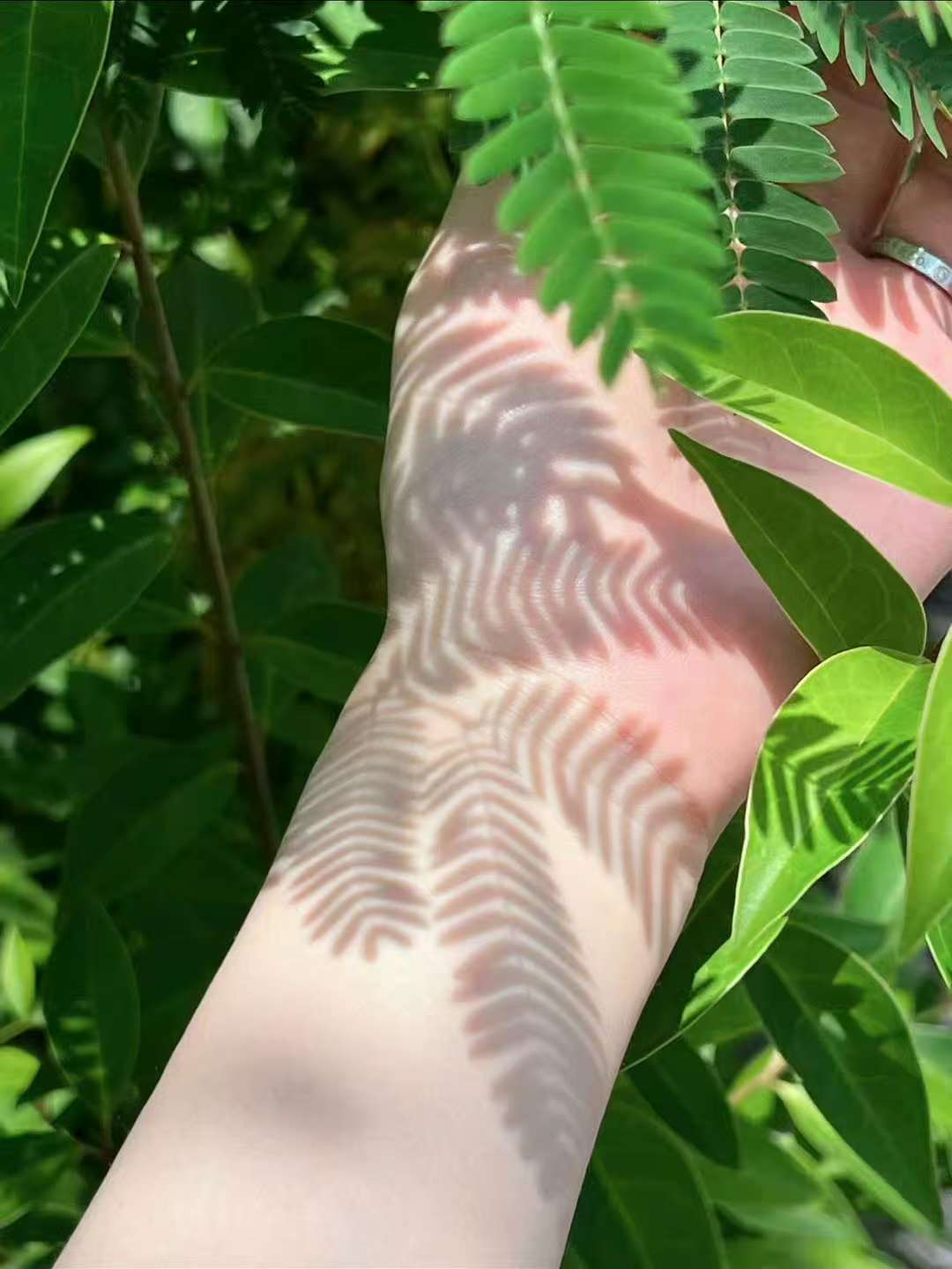 爱梦blog,源码爱好者,源码收集,爱梦博客,爱梦