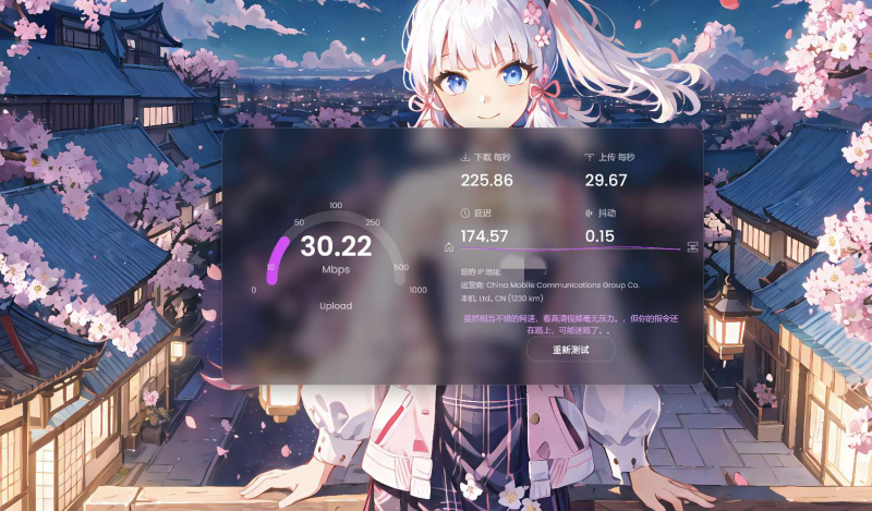 好看的服务器测速页-进入